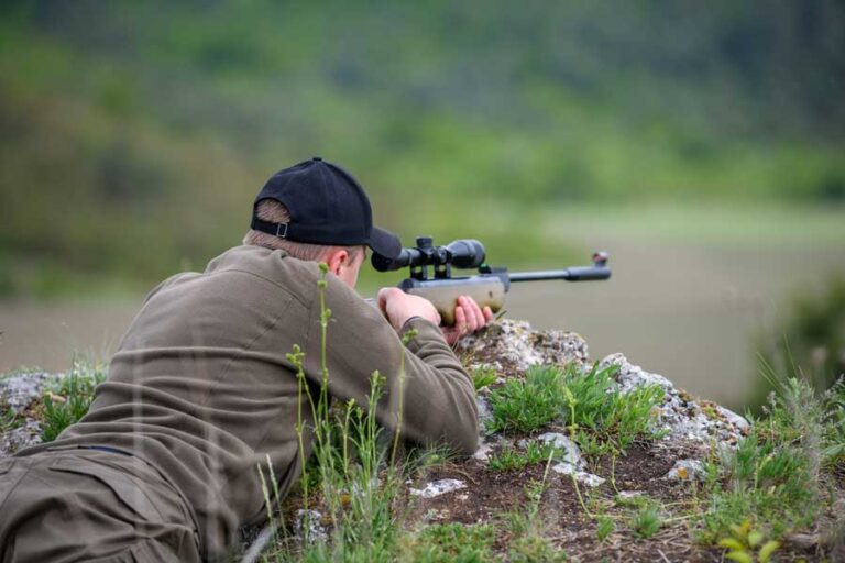 Licencia de caza Andalucía Licencias de caza y pesca Licencia de caza Andalucía Licencias de caza y pesca