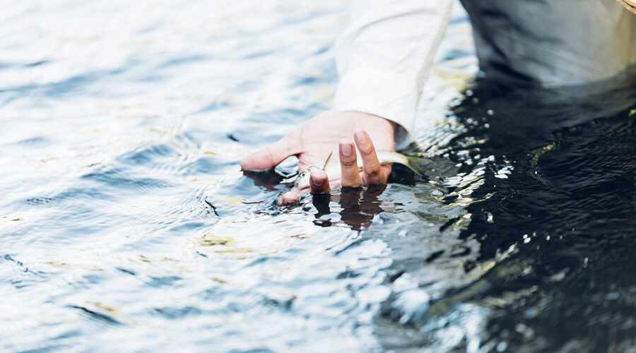 guía pescadores principiantes licencia