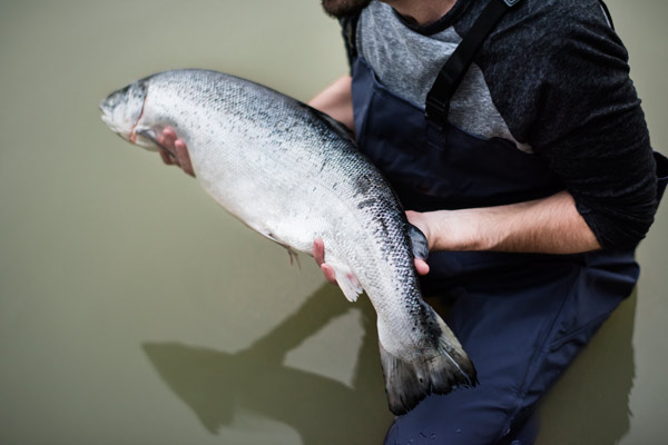 pesca rio licencia andalucia